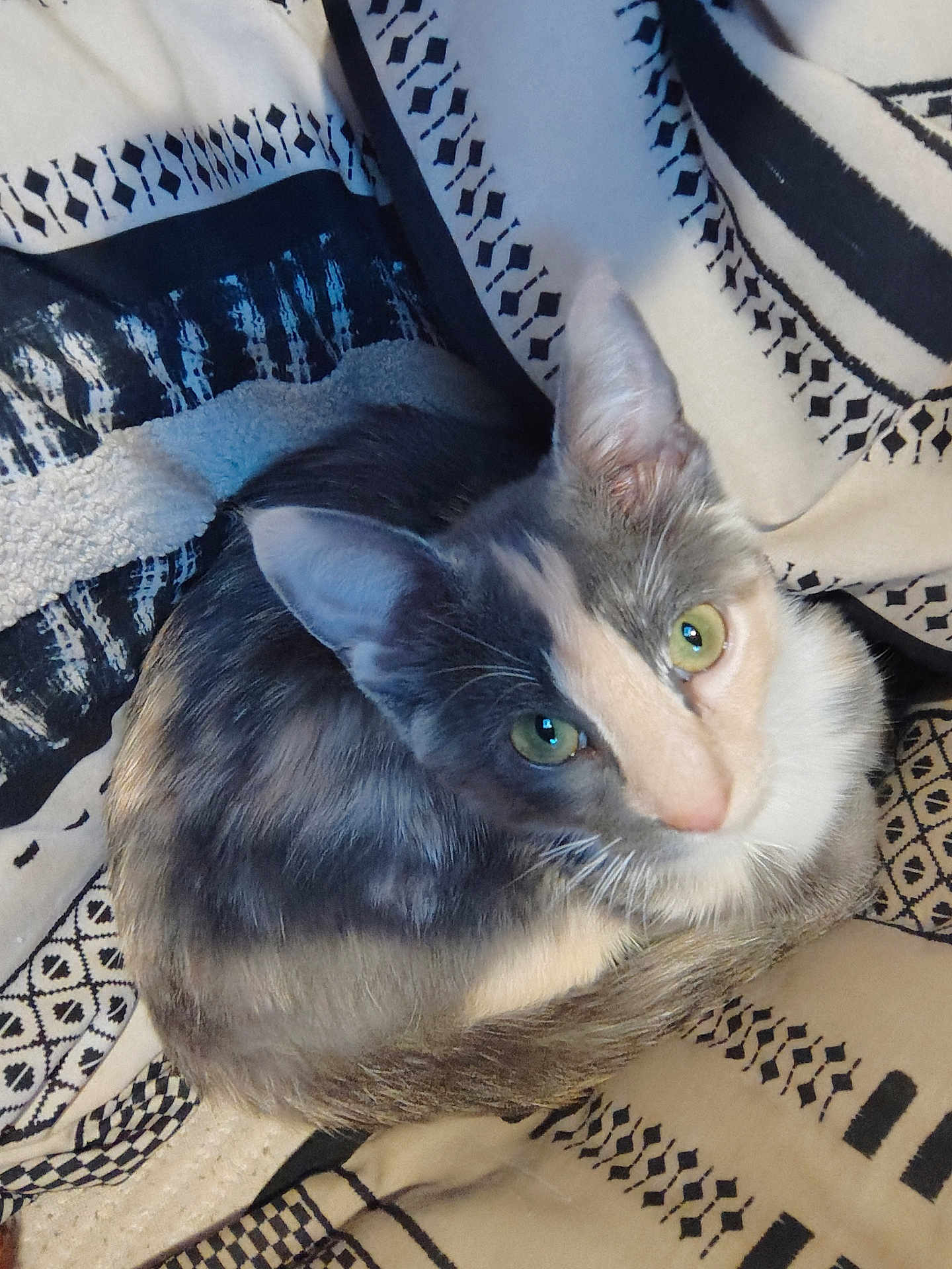 Mittens