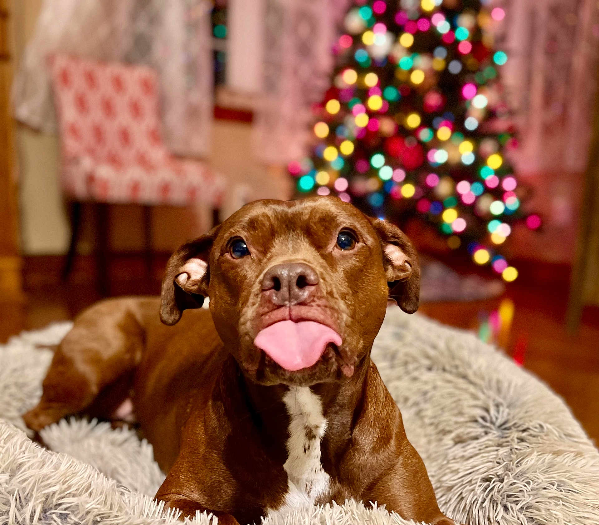 Coco