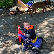 Itachi is registered to the contest to win money with this photo: toddler, child, tricycle, toy, outdoor, dog, brown_dog, gravel, sunlight, shadow, jacket, boots, play, nature, fence, plastic, vehicle, pet, grass, daylight