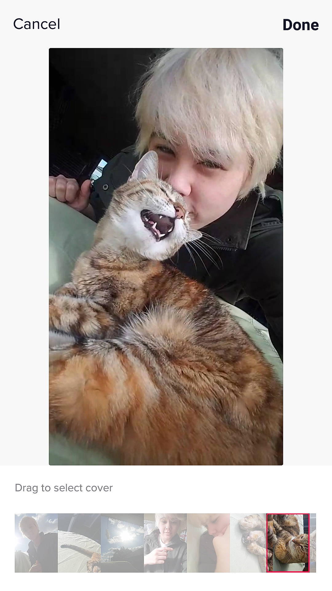 Kairo joined the competition — help win amazing prizes! canidae, carnivore, cat, ear, felidae, fur, human, person, photo_caption, photography, selfie, small_to_medium_sized_cats, whiskers