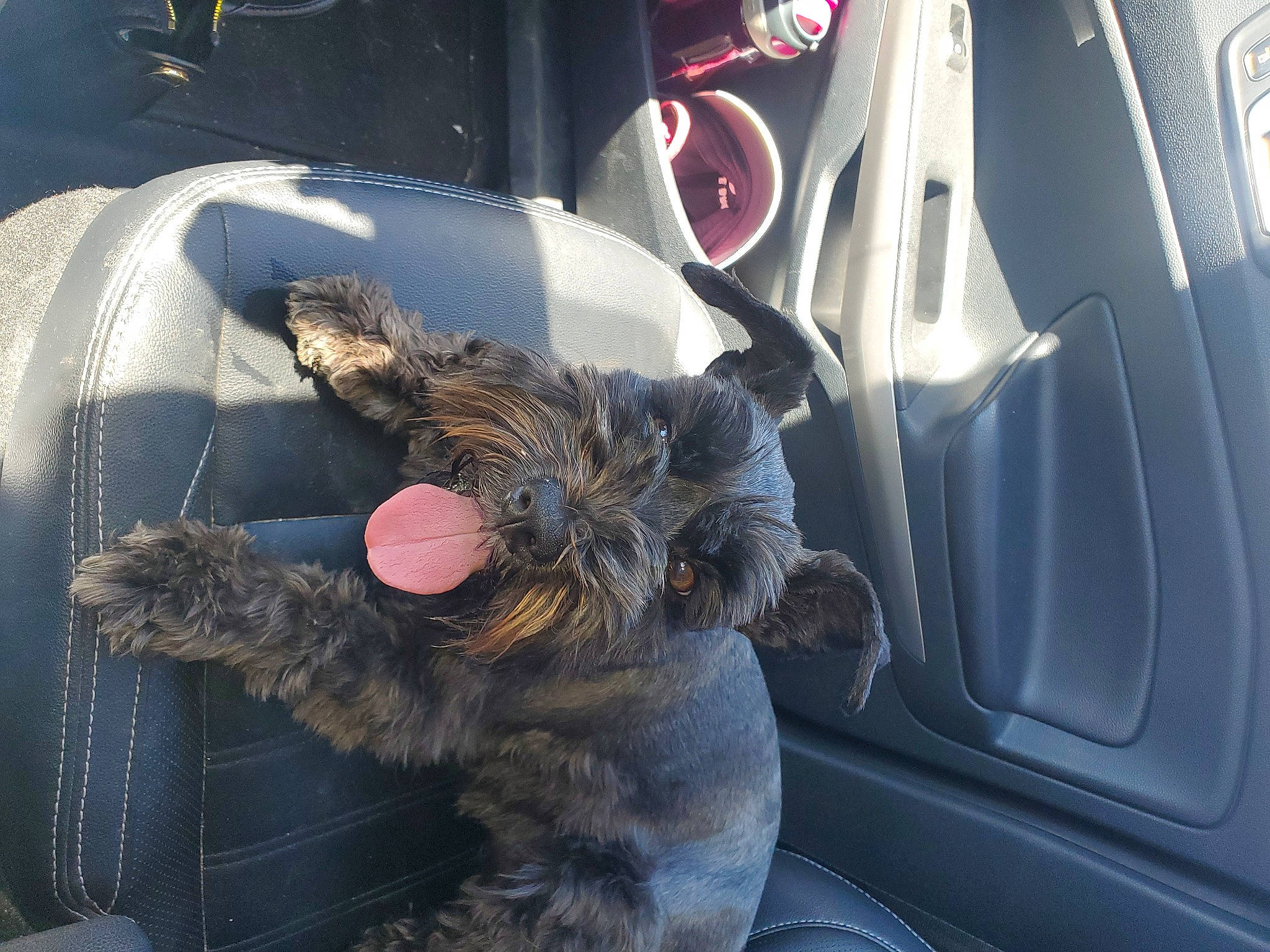 Dulce joined the competition — help win amazing prizes! aircraft, auto_part, automotive_design, automotive_exterior, automotive_lighting, automotive_tire, car, car_seat, car_seat_cover, fender, gesture, hood, motor_vehicle, personal_luxury_car, rim, steering_wheel, vehicle, vehicle_door, window, windshield