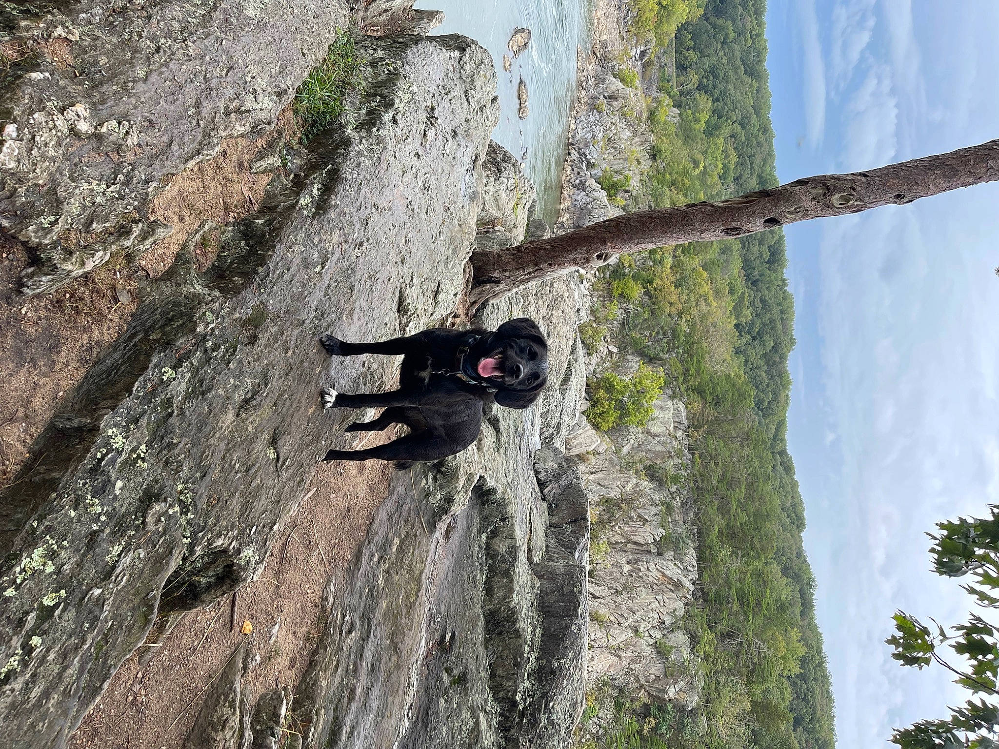 Jaxs joined the competition — help win amazing prizes! adventure, bedrock, climbing, extreme_sport, formation, geological_phenomenon, mountain, mountaineer, nature, outcrop, plant, recreation, rock, rock_climbing_equipment, sky, sport_climbing, tree, trunk, wood, woody_plant