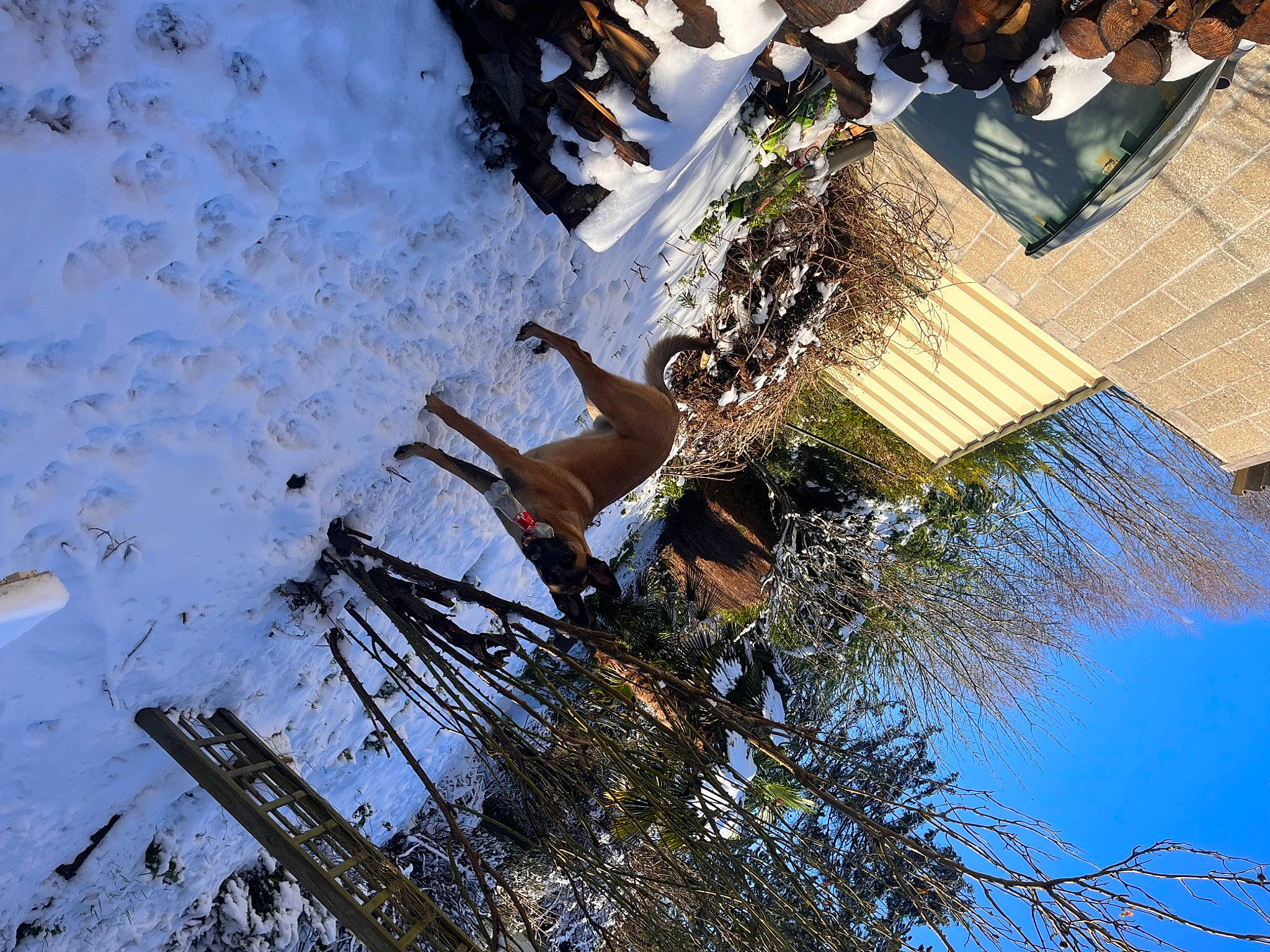 Oslo a rejoint le concours — aidez-le/la à gagner de superbes lots ! building, freezing, fun, house, landscape, leisure, plant, plant_stem, reflection, roof, shadow, snow, street_light, tree, twig, water, winter, wood