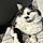 Miaous
