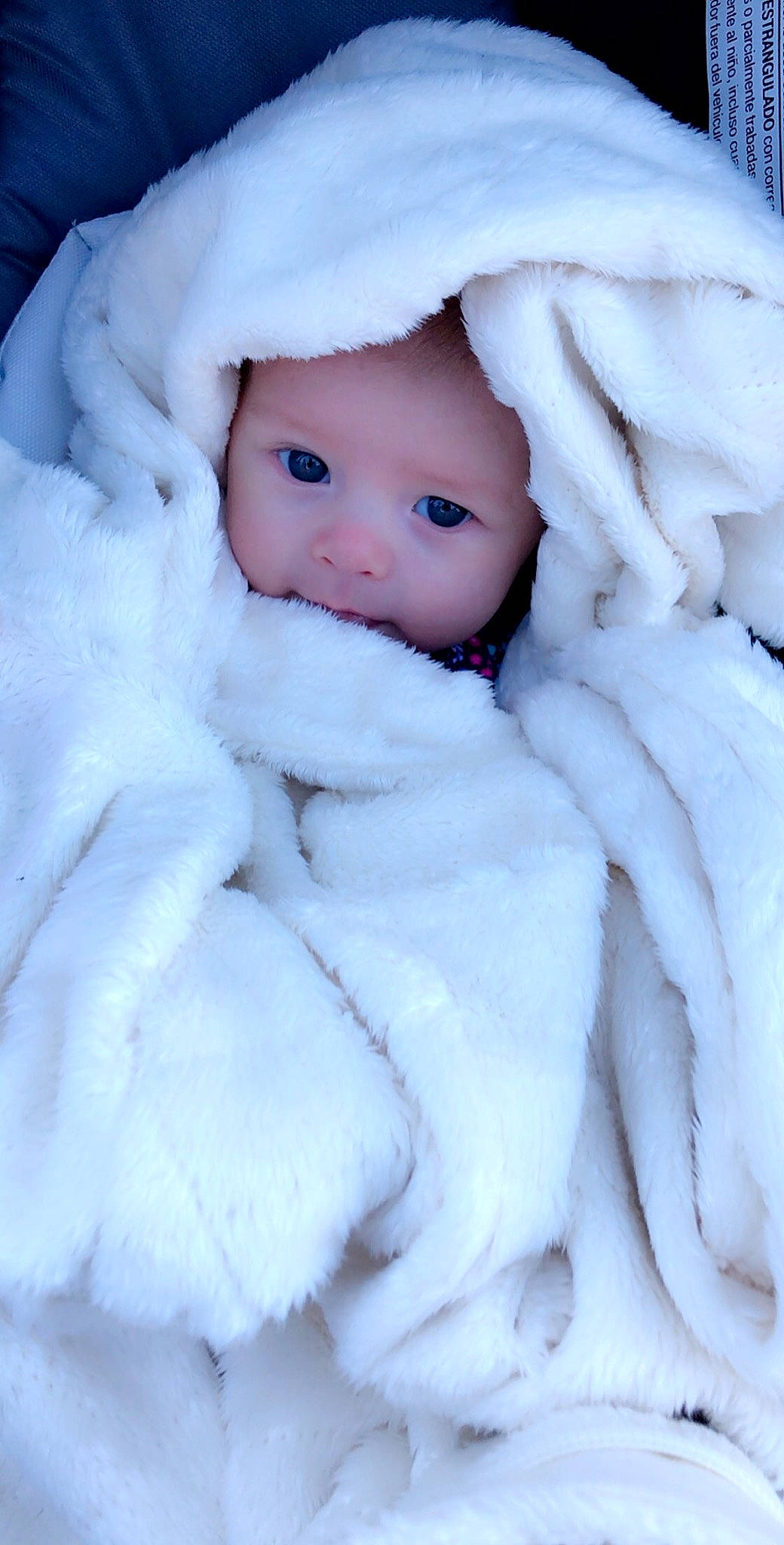 Kenna joined the competition — help win amazing prizes! child, eye, freezing, fur, fur_clothing, girl, headwear, infant, joy, nose, person, skin, snow, textile, white, winter