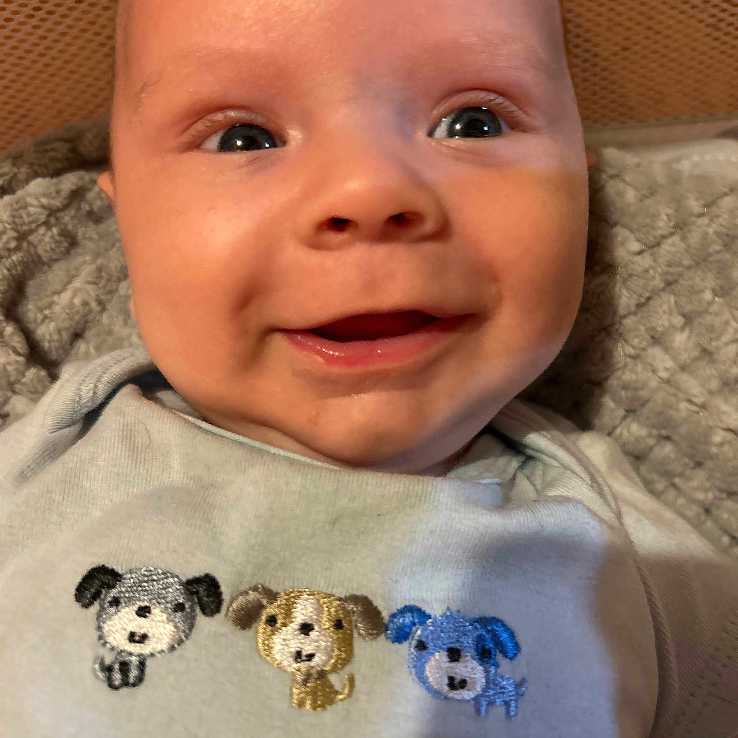 Roman is registered to the contest to win money with this photo: accessories, applique, baby, clothing, cushion, earring, face, happy, head, homedecor, jewelry, newborn, pattern, person, photography, portrait, shirt, smile, t_shirt, toy