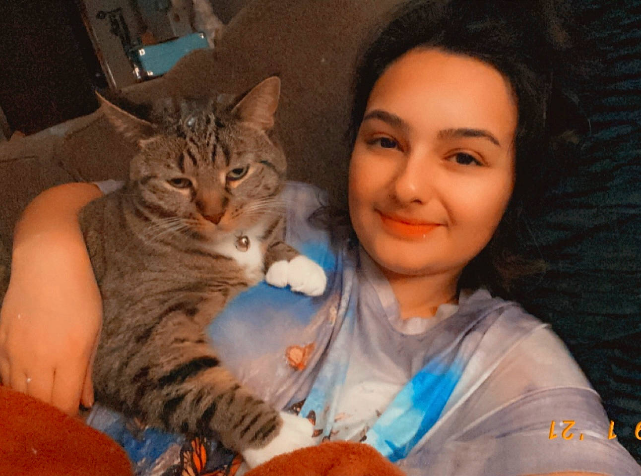 Chloe is registered to the contest to win money with this photo: carnivore, cat, comfort, domestic_short_haired_cat, ear, eye, fawn, felidae, friendship, fun, gesture, happy, head, iris, lap, skin, small_to_medium_sized_cats, smile, vertebrate, whiskers