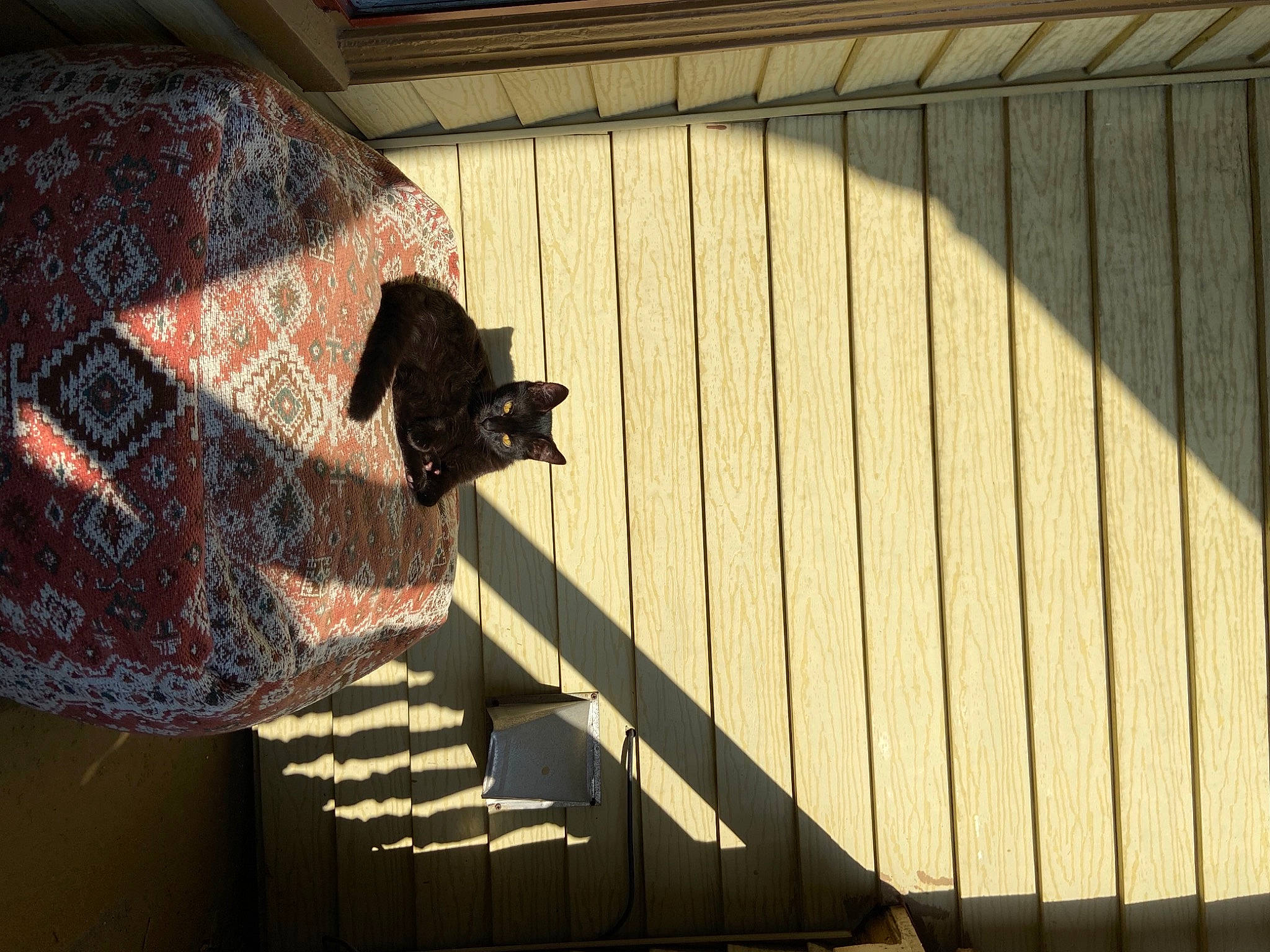 Celeste joined the competition — help win amazing prizes! architecture, art, building, carmine, facade, handrail, hardwood, house, metal, pattern, rectangle, room, shade, shadow, stairs, tints_and_shades, umbrella, visual_arts, wall, wood