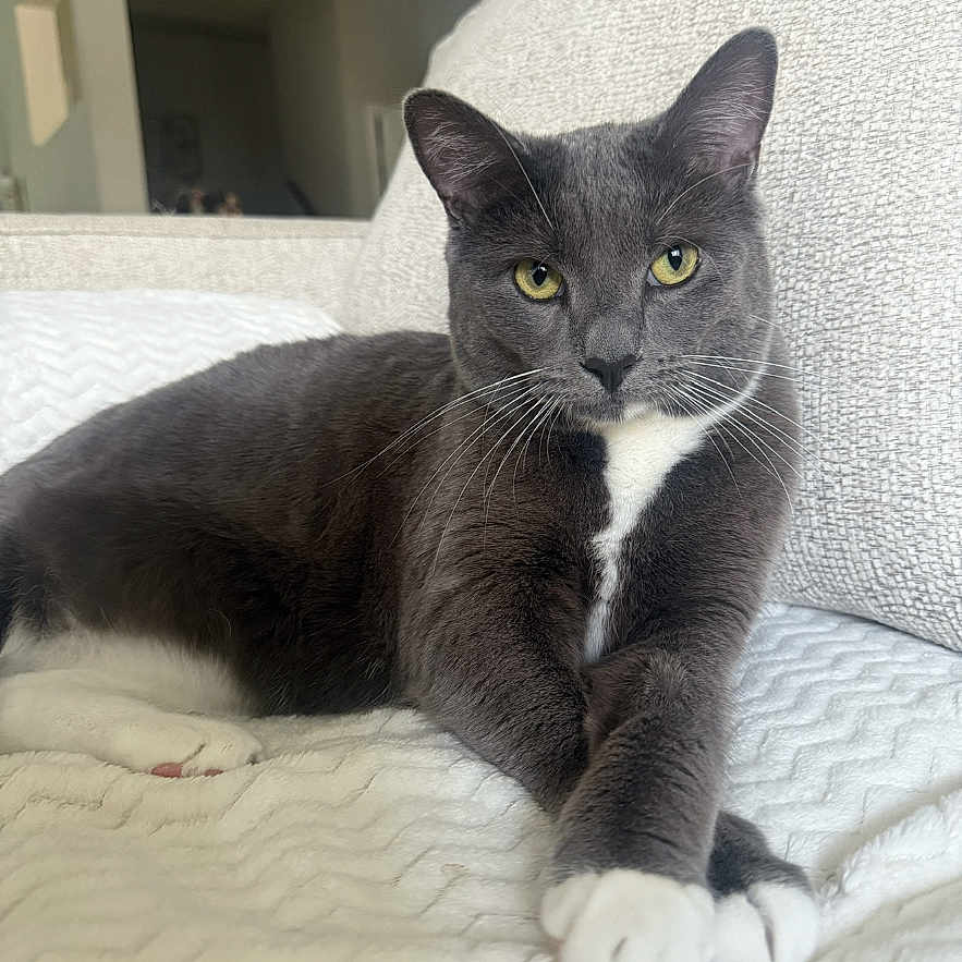 Savannah