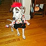 dog, costume, halloween, red_wig, toy_axe, wooden_floor, indoor, pet, decor, pumpkin, furniture, shelf, books, doorway, playful, curious, black_spots, white_fur, collar, leash