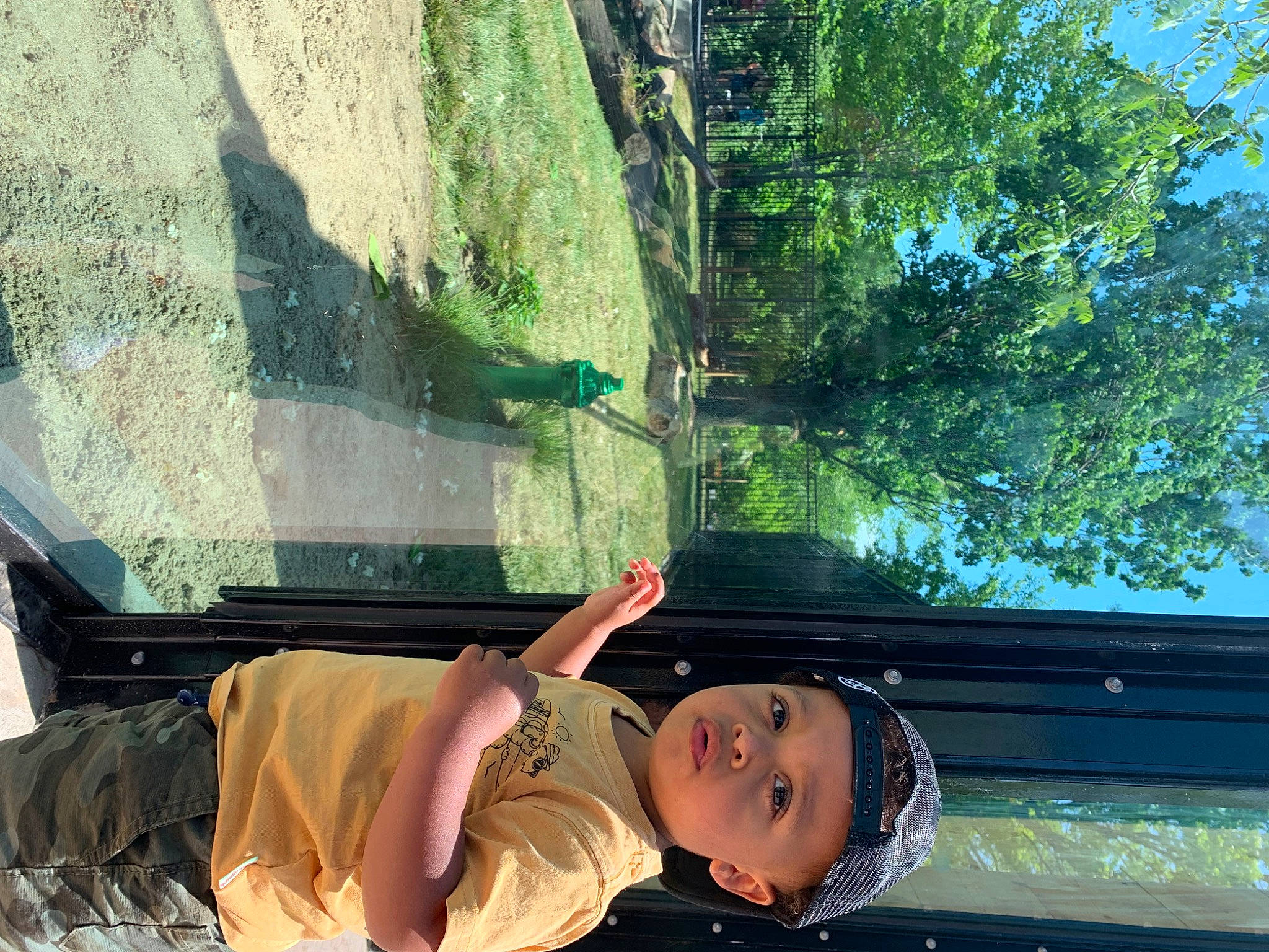 Lance joined the competition — help win amazing prizes! automotive_exterior, daytime, grass, hat, headwear, leaf, leisure, light, line, mammal, motor_vehicle, person, plant, shade, tints_and_shades, travel, tree, vehicle, vehicle_door, vertebrate