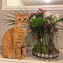 cat, orange_tabby, flower_vase, flowers, indoor, cabinet, mirror, decor, tray, plant, pet, feline, domestic_animal, sitting, tabletop, greenery, home_interior, cute, still_life, lighting