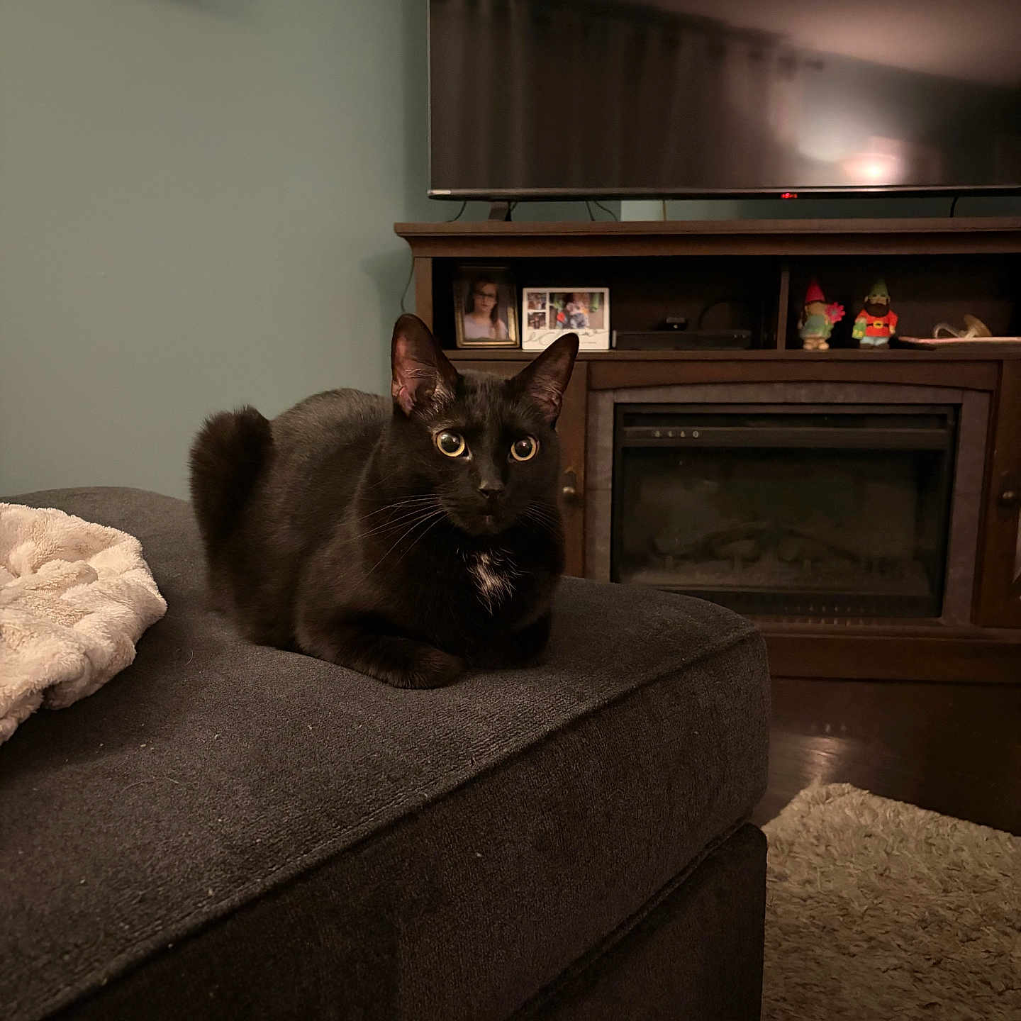 Loki