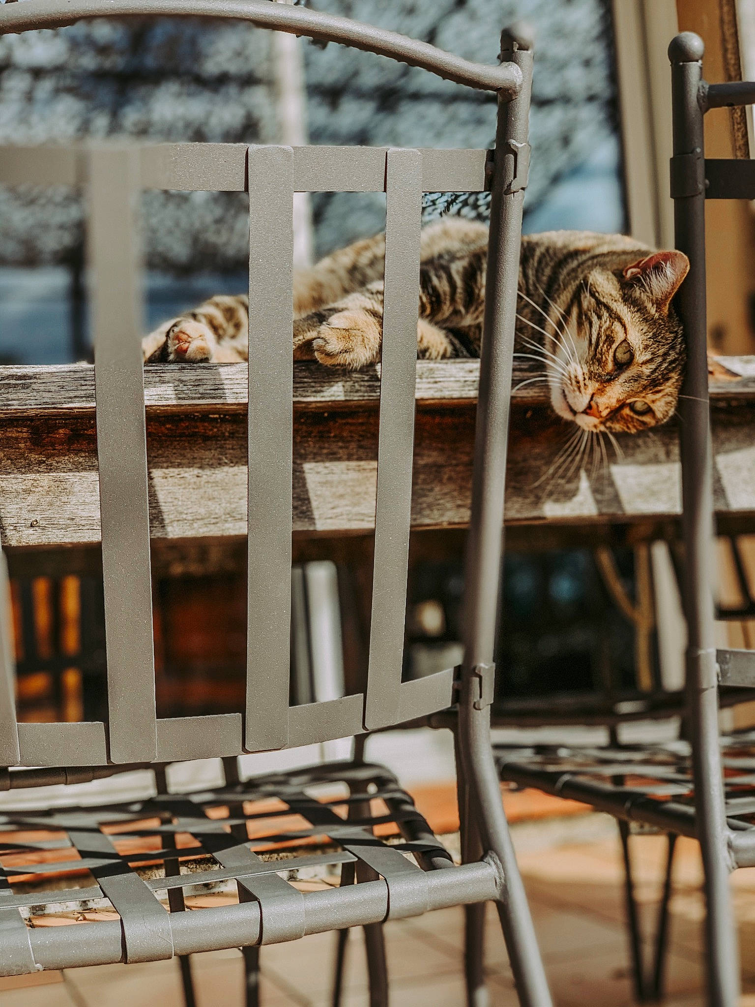 Hina a rejoint le concours — aidez-le/la à gagner de superbes lots ! architecture, chair, furniture, iron, metal, rust, wood