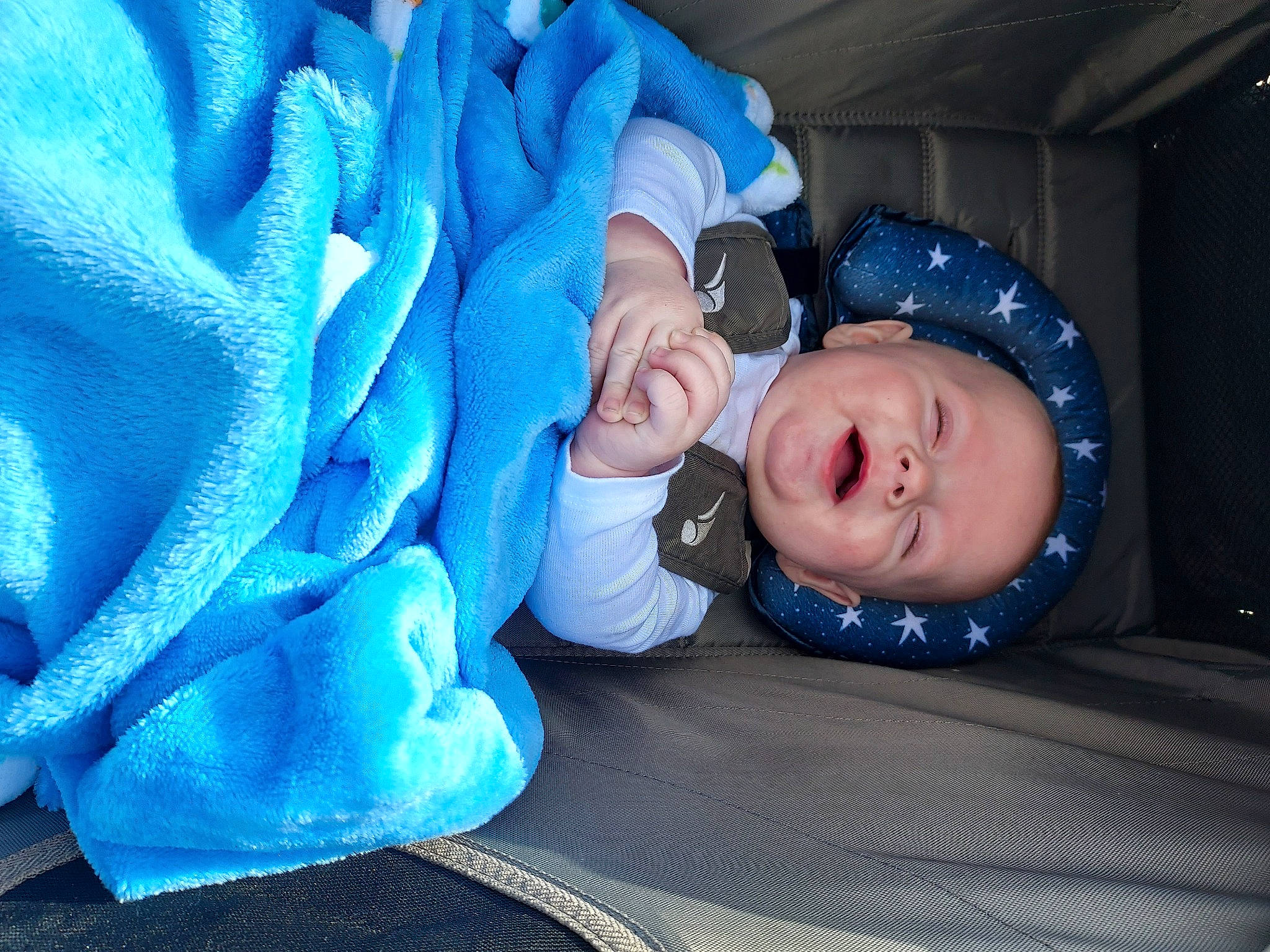 Mark is registered to the contest to win money with this photo: baby, baby_toddler_clothing, blue, cheek, child, comfort, electric_blue, flash_photography, fun, linens, nap, person, petal, plant, purple, rose, rose_family, rose_order, sitting, toddler