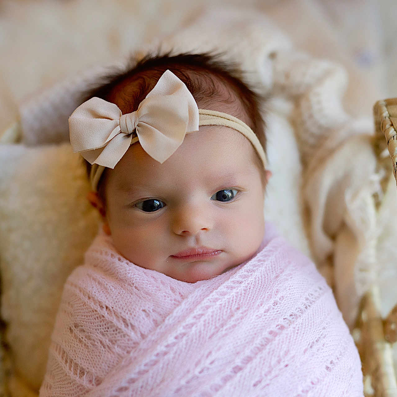 Kiana is registered to the contest to win money with this photo: newborn, baby, infant, wrapped, pink_blanket, headband, bow, basket, woven, cozy, blanket, sleepy, cute, portrait, indoors, soft_texture, closeup, face, child, resting