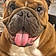 Ottis