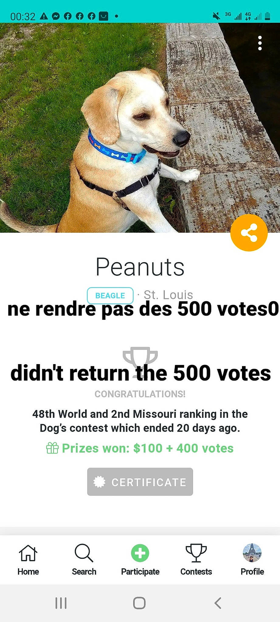 Cookie a rejoint le concours — aidez-le/la à gagner de superbes lots ! carnivore, collar, companion_dog, dog, dog_breed, dog_collar, dog_supply, fawn, font, happy, leash, light, paw, pet_supply, photo_caption, screenshot, slope, sporting_group, tail, working_animal