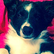 Jager participe au concours pour gagner de l'argent avec cette photo :