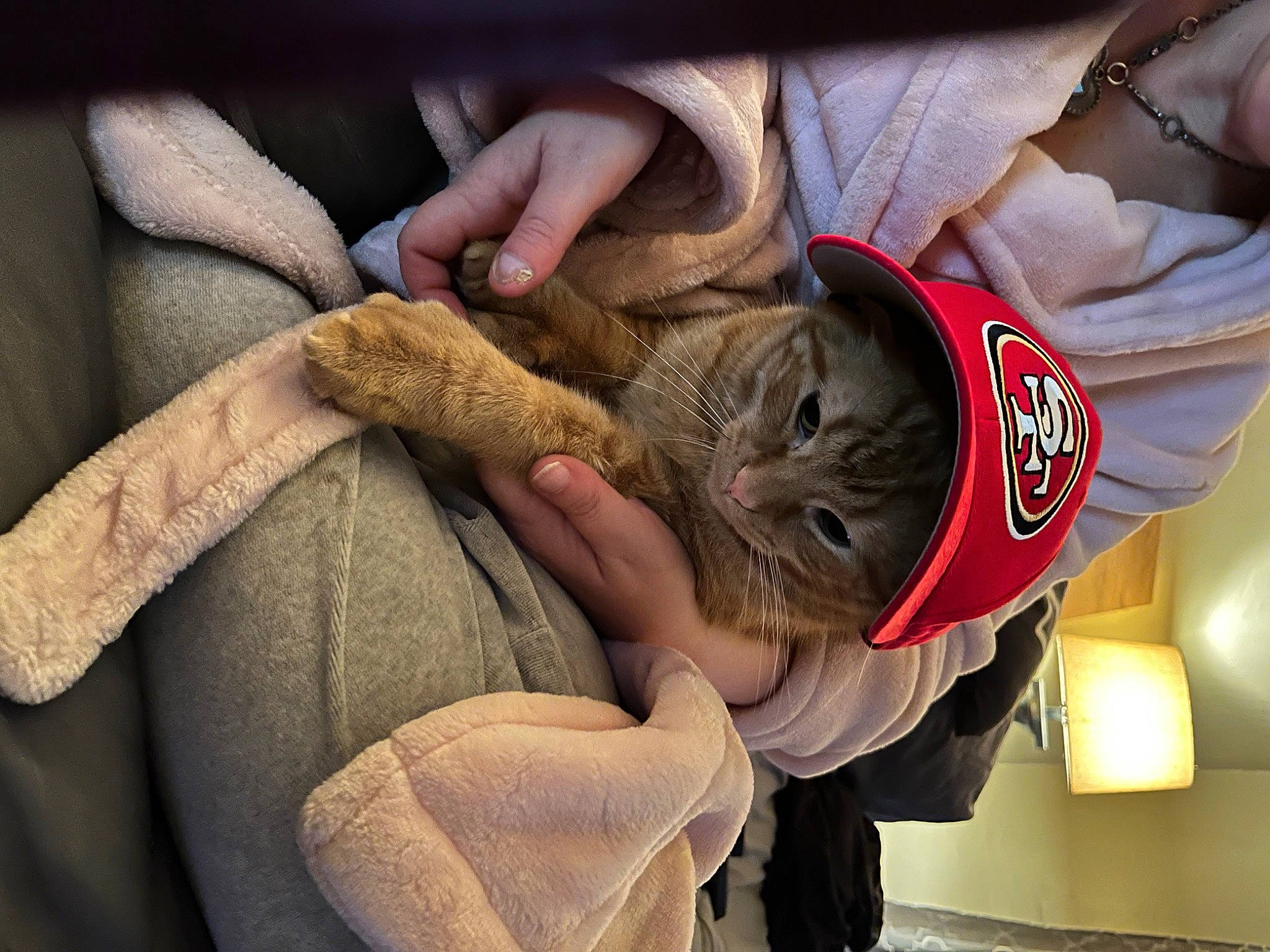 Cisco joined the competition — help win amazing prizes! elbow, felidae, finger, fur, gesture, lamp, nail, pattern, thumb, wood, wrist