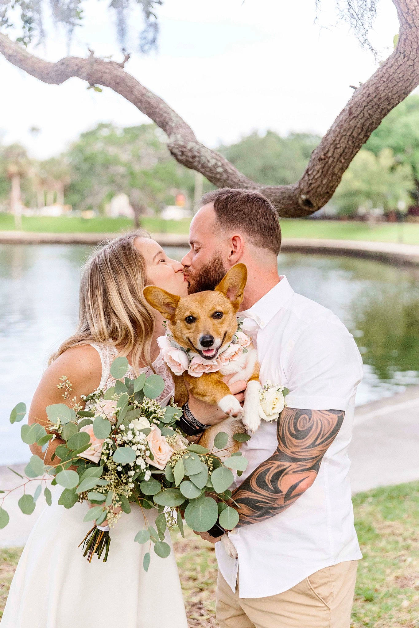 Georgia is registered to the contest to win money with this photo: branch, bridal_clothing, canidae, ceremony, companion_dog, dog, dress, fawn, happy, interaction, love, pembroke_welsh_corgi, photograph, photography, plant, puppy_love, spring, tree, wedding_dress, yellow