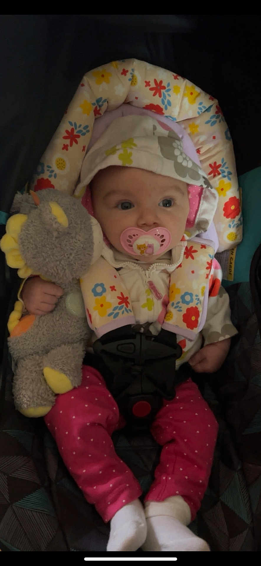 Astrid joined the competition — help win amazing prizes! baby, infant, pacifier, stuffed_animal, car_seat, hoodie, pink_pants, polka_dot, floral_pattern, child, cute, cozy, clothing, sitting, comfort, toy, face, small_hand, white_socks, seat_belt
