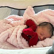 Isabella is registered to the contest to win money with this photo: newborn, baby, sleeping, blanket, pink, red_clothing, bassinet, cozy, soft, infant, face, peaceful, indoors, rest, child, cute, warm, comfort, portrait, relaxation