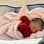 newborn, baby, sleeping, blanket, pink, red_clothing, bassinet, cozy, soft, infant, face, peaceful, indoors, rest, child, cute, warm, comfort, portrait, relaxation