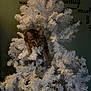 cat, tabby, christmas_tree, white_tree, ornament, indoor, pet, animal, curious, holiday, decor, furniture, wall_text, cozy, festive, tree_branch, closeup, cute, playful, home