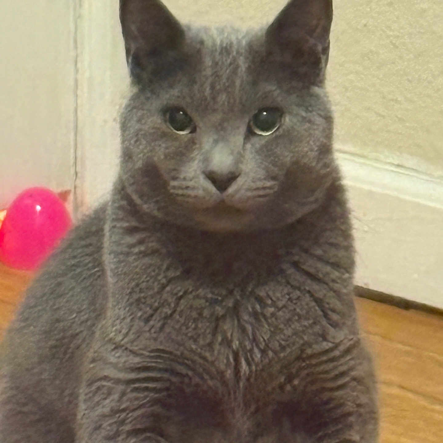 Silas