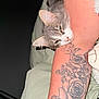 animal, arm, cat, close_up, content, cute, detailed_tattoo, fur, gray_cat, human_skin, indoor, pet, relaxed, resting, rose_tattoo, sleepy, soft_lighting, tattoo, whiskers, white_cat