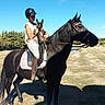 animal, black_horse, blue_sky, bridle, companion, dog, equestrian, farm, field, helmet, horse, horseback, outdoor, pet, portrait, rider, riding, saddle, sunny, trees
