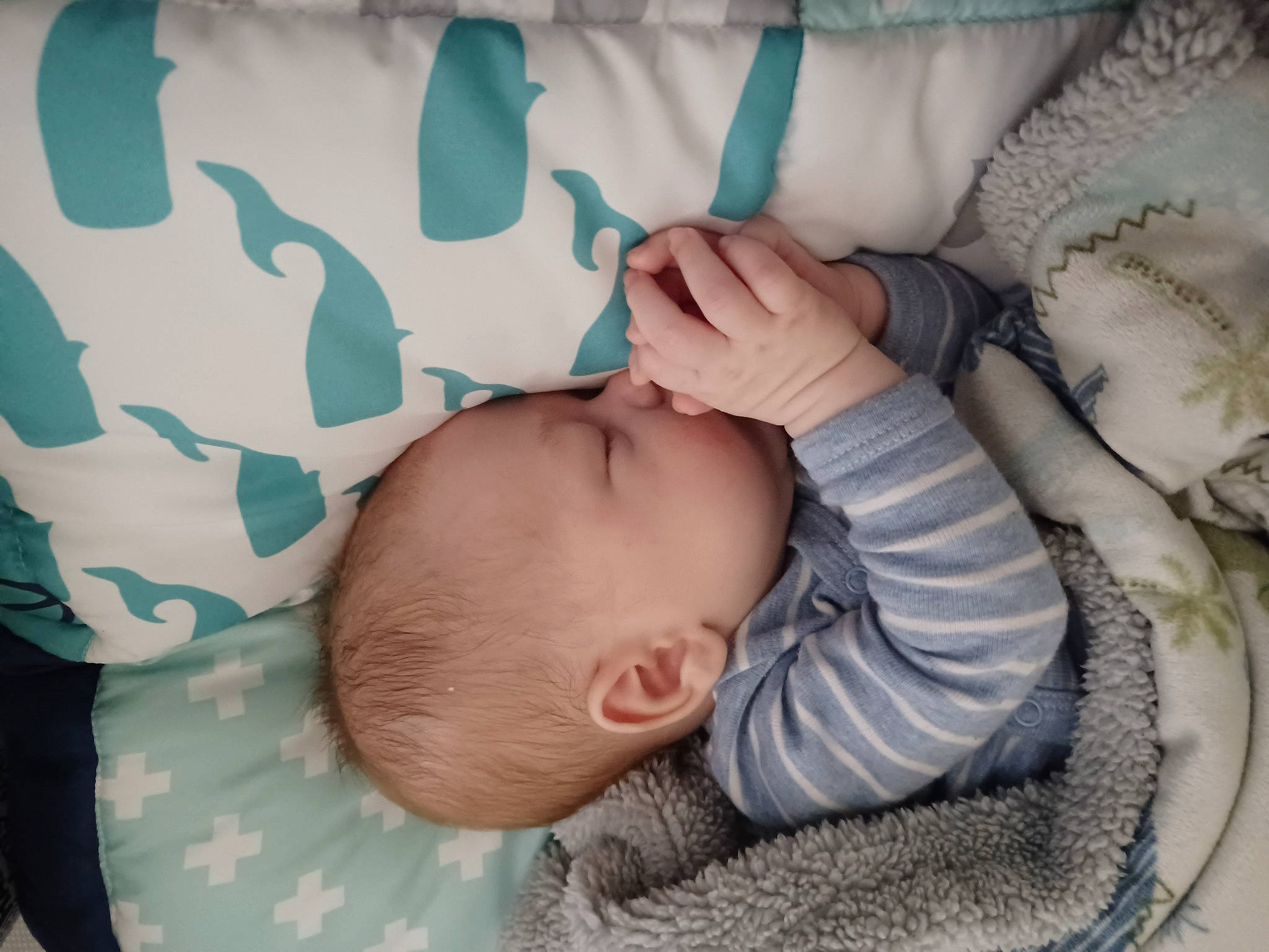 Daylen is registered to the contest to win money with this photo: arm, baby, baby_products, baby_sleeping, baby_toddler_clothing, bedtime, cheek, child, comfort, finger, gesture, grass, hand, linens, nose, pattern, person, skin, sleeve, textile