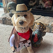Jax joined the competition — help win amazing prizes! dog, costume, cowboy, hat, bandana, toy, turkey_statue, carpet, fireplace, stone_wall, indoor, pet, animal, cute, portrait, furry, decor, holiday, funny, posing