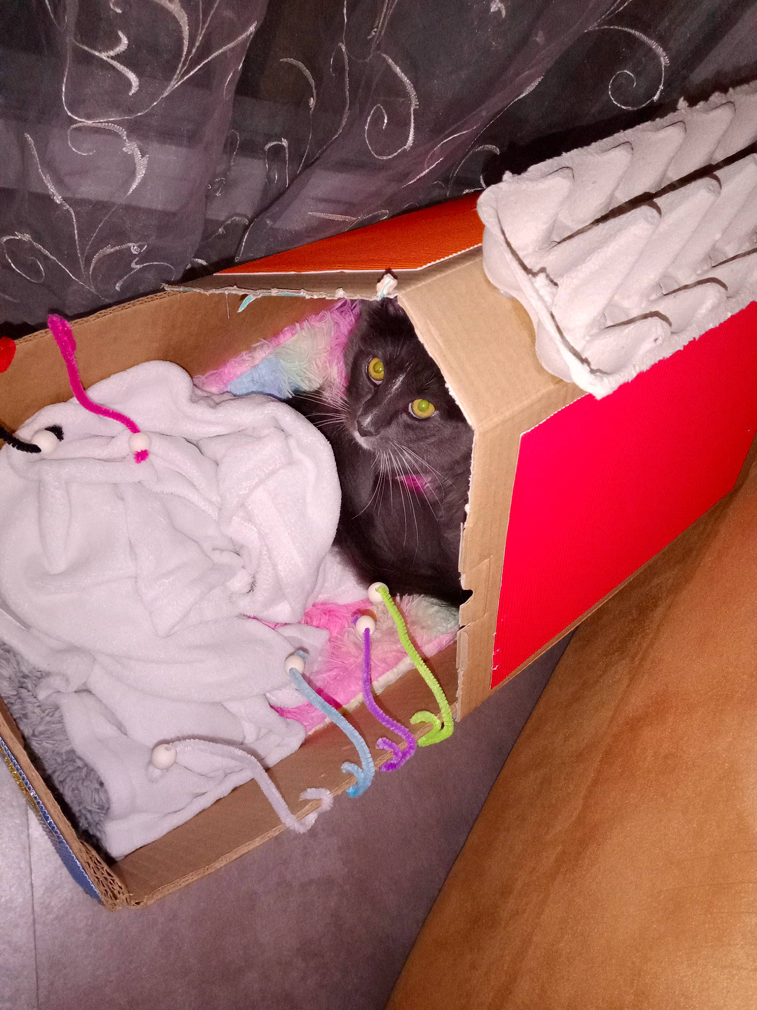 Bingo participe au concours pour gagner de l'argent avec cette photo : bag, baggage, bed, bed_sheet, bedding, bedroom, cat, comfort, felidae, linens, magenta, pillow, pink, room, small_to_medium_sized_cats