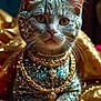 animal, cat, close_up, cute, decorative, domestic_cat, eyes, fabric, feline, glitter, gold, gold_necklaces, indoor, jewelry, luxury, pet, portrait, soft_lighting, sparkle, whiskers