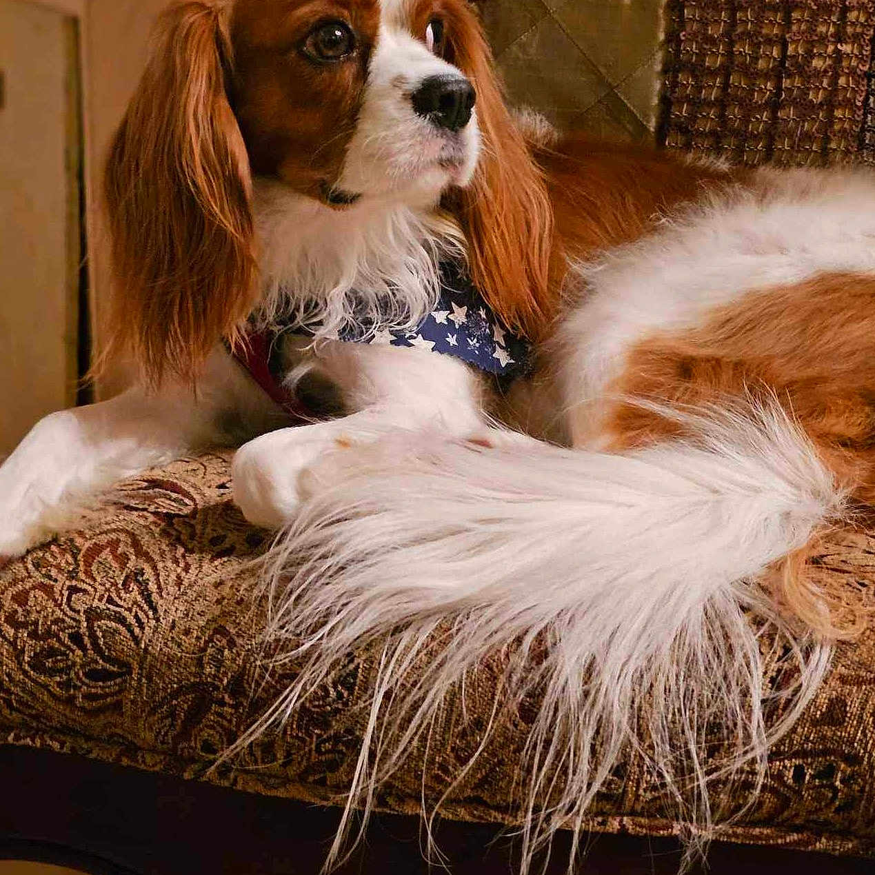 Charlie