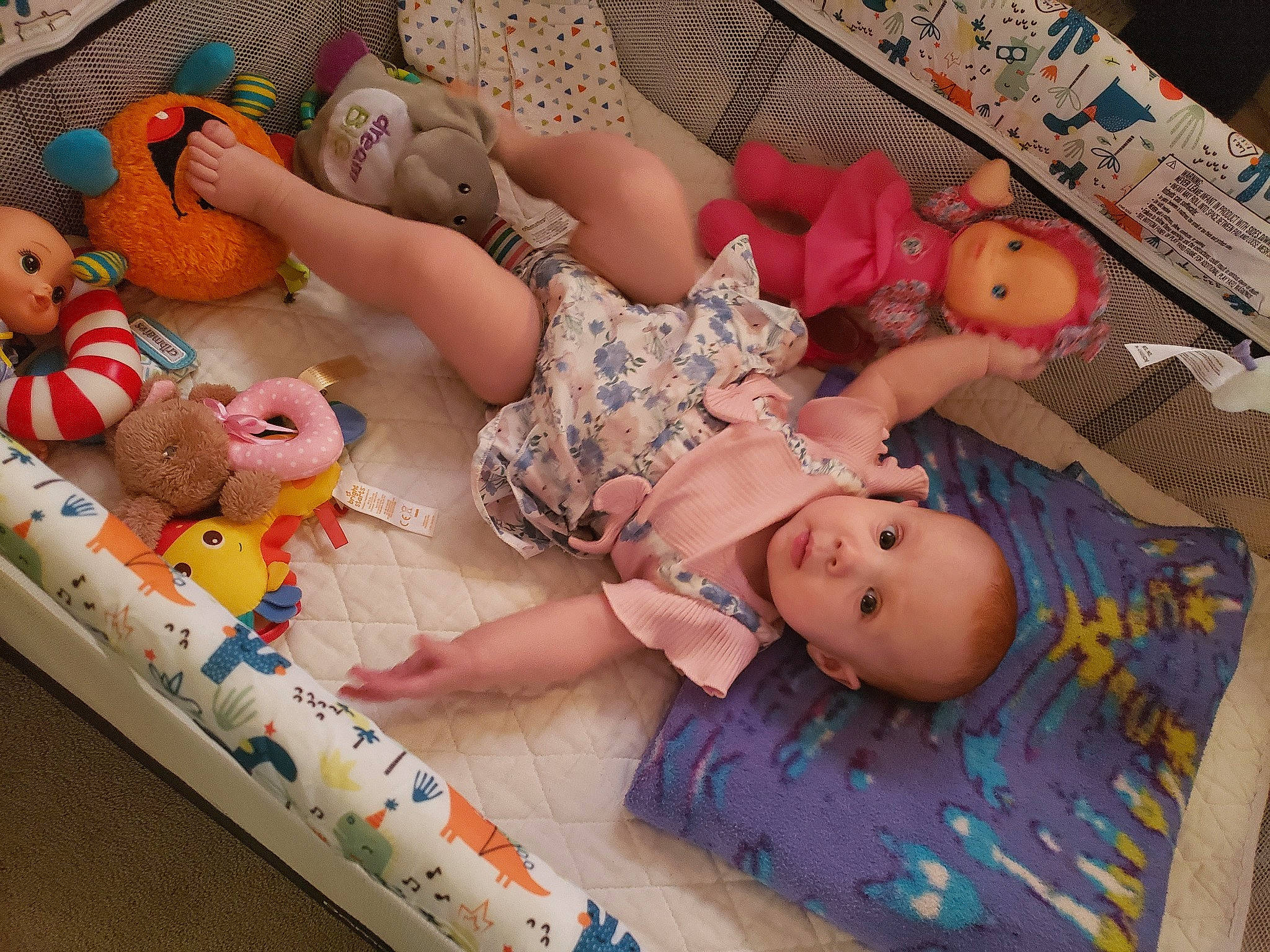 Haley joined the competition — help win amazing prizes! abdomen, arm, baby, baby_products, cheek, child, comfort, doll, fawn, finger, head, human_body, joint, pattern, person, pink, product, textile, thigh, toddler