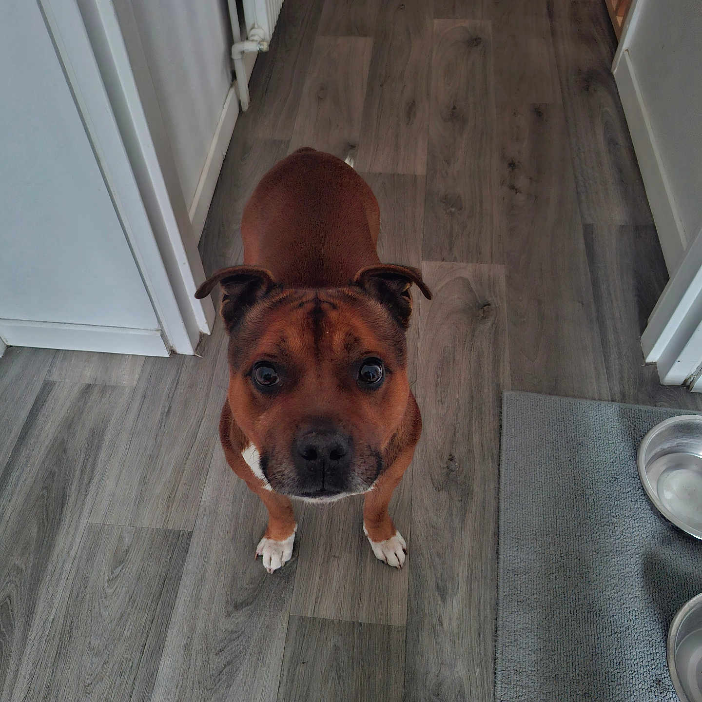 Otis