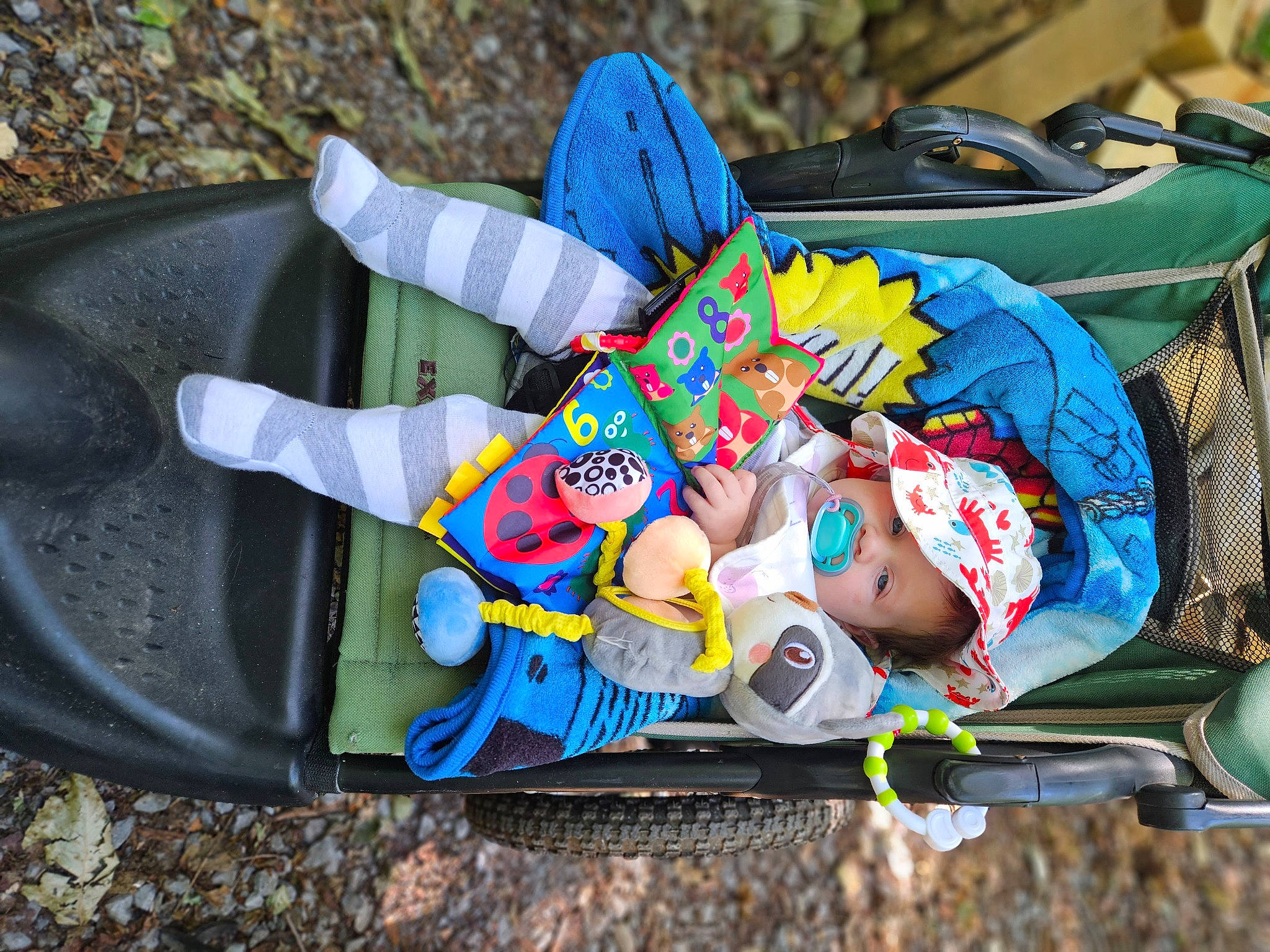 Raegan joined the competition — help win amazing prizes! automotive_tire, baby, baby_carriage, baby_products, baby_toddler_clothing, bag, child, electric_blue, fashion_accessory, fun, grass, leisure, luggage_and_bags, person, personal_protective_equipment, plastic, recreation, sitting, synthetic_rubber, toddler