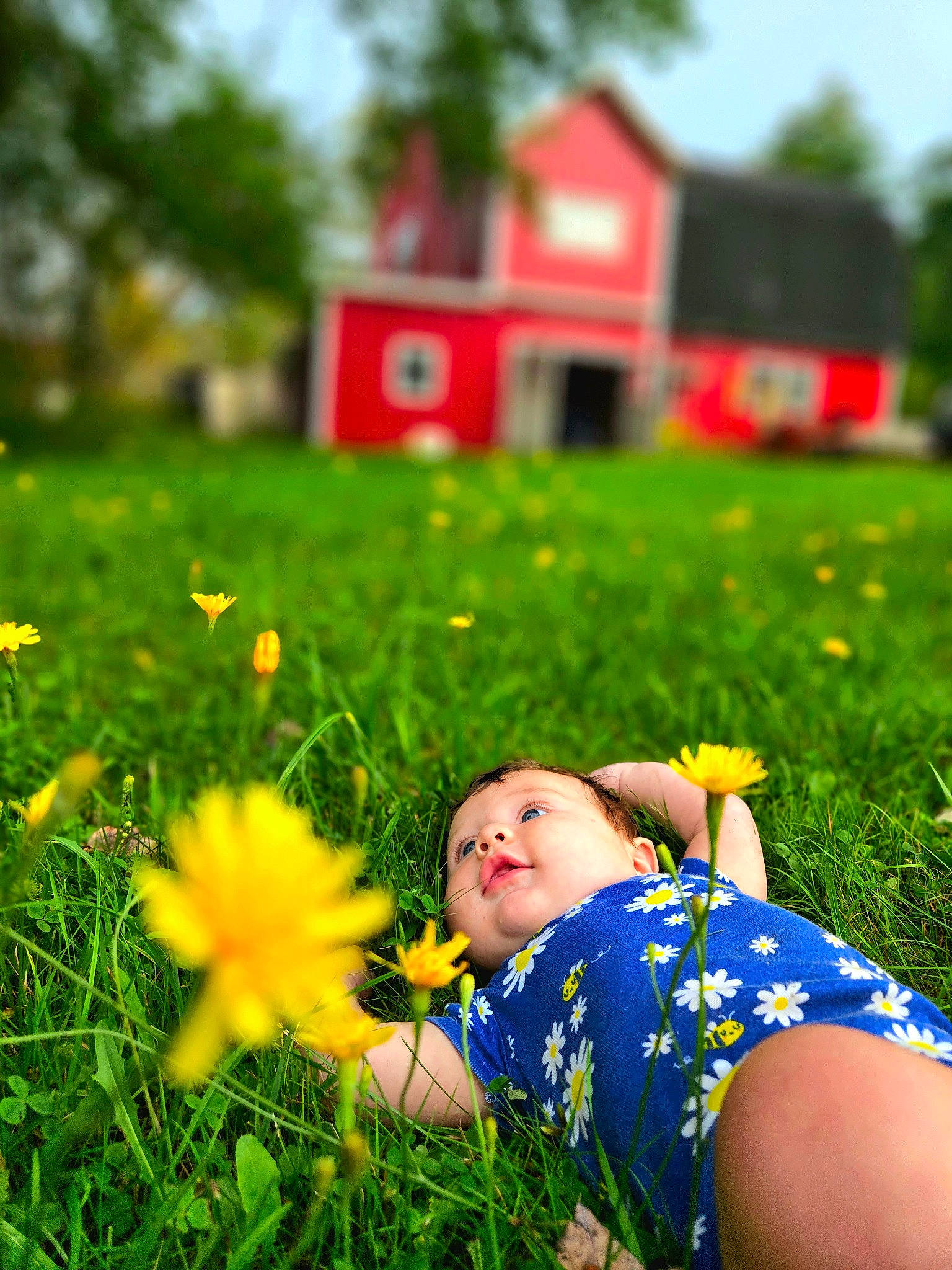 Raegan is registered to the contest to win money with this photo: flower, fun, grass, grass_family, grassland, green, happy, house, landscape, lawn, leisure, meadow, morning, natural_landscape, people_in_nature, person, plant, sky, summer, sunlight