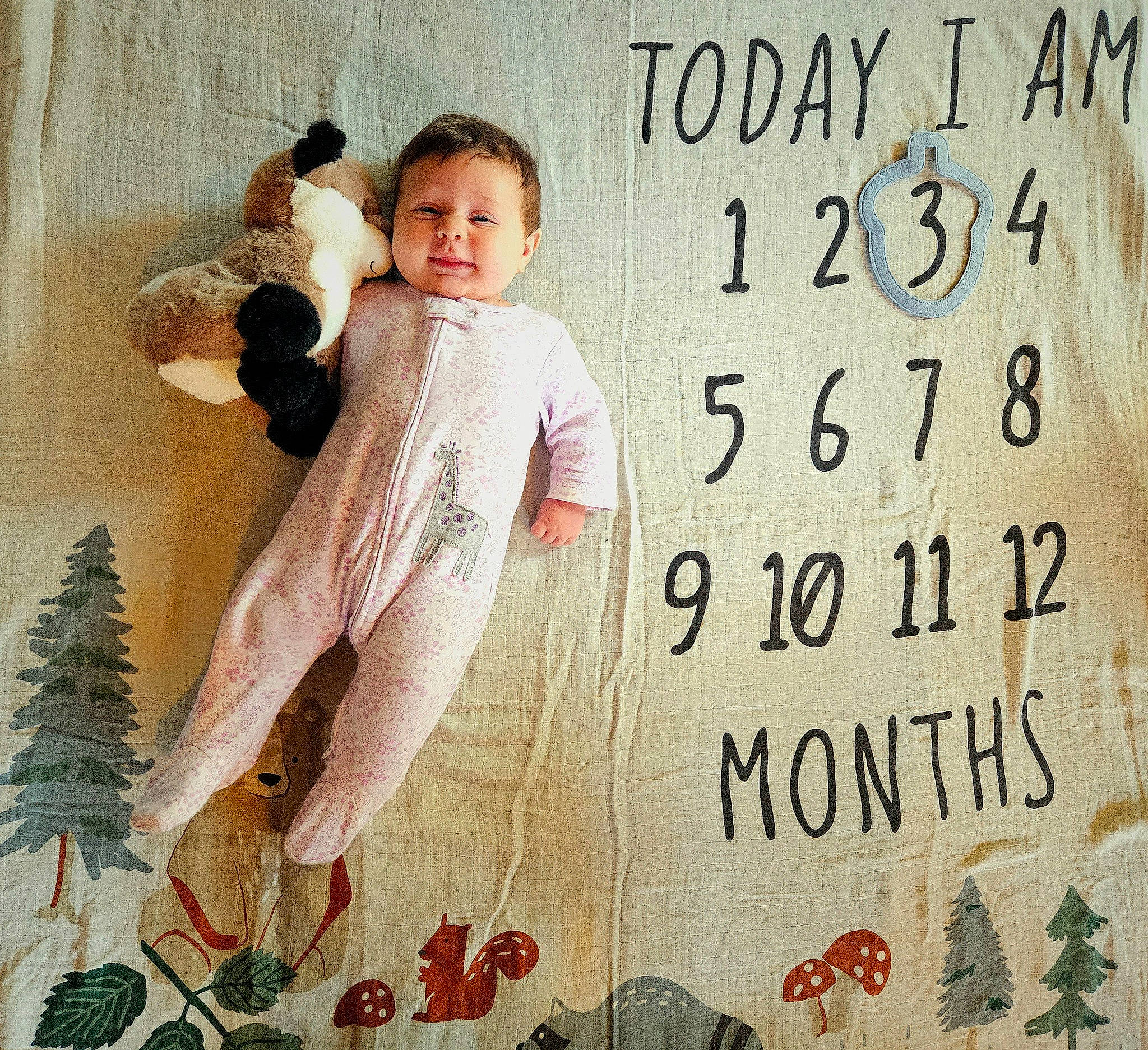 Raegan is registered to the contest to win money with this photo: art, child, fashion_design, font, formal_wear, fur, happy, illustration, linens, pattern, peach, people_in_nature, person, sleeve, t_shirt, textile, toddler, tree, vintage_clothing, visual_arts