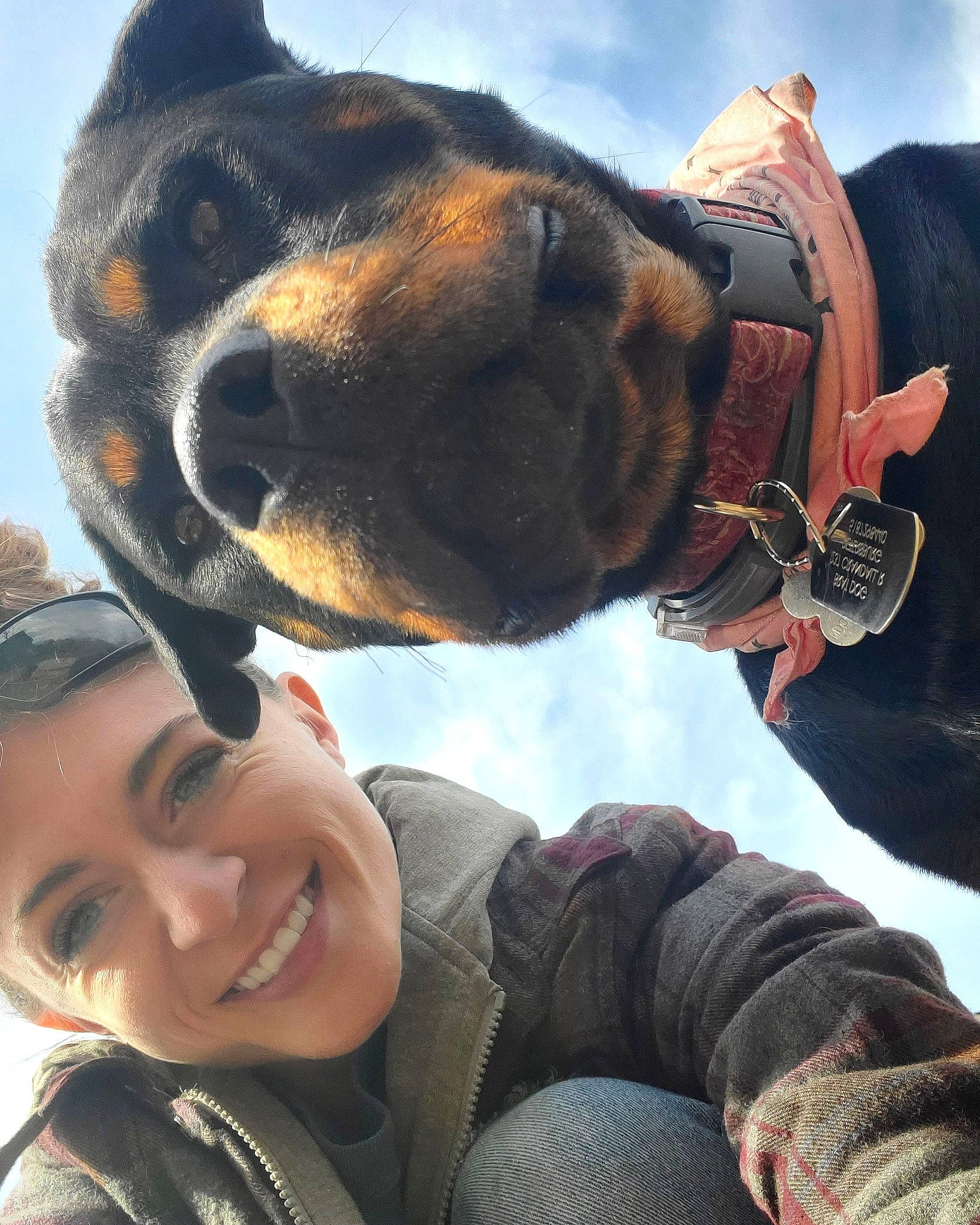 Lilly joined the competition — help win amazing prizes! canidae, cool, fawn, fun, photography, selfie, snout