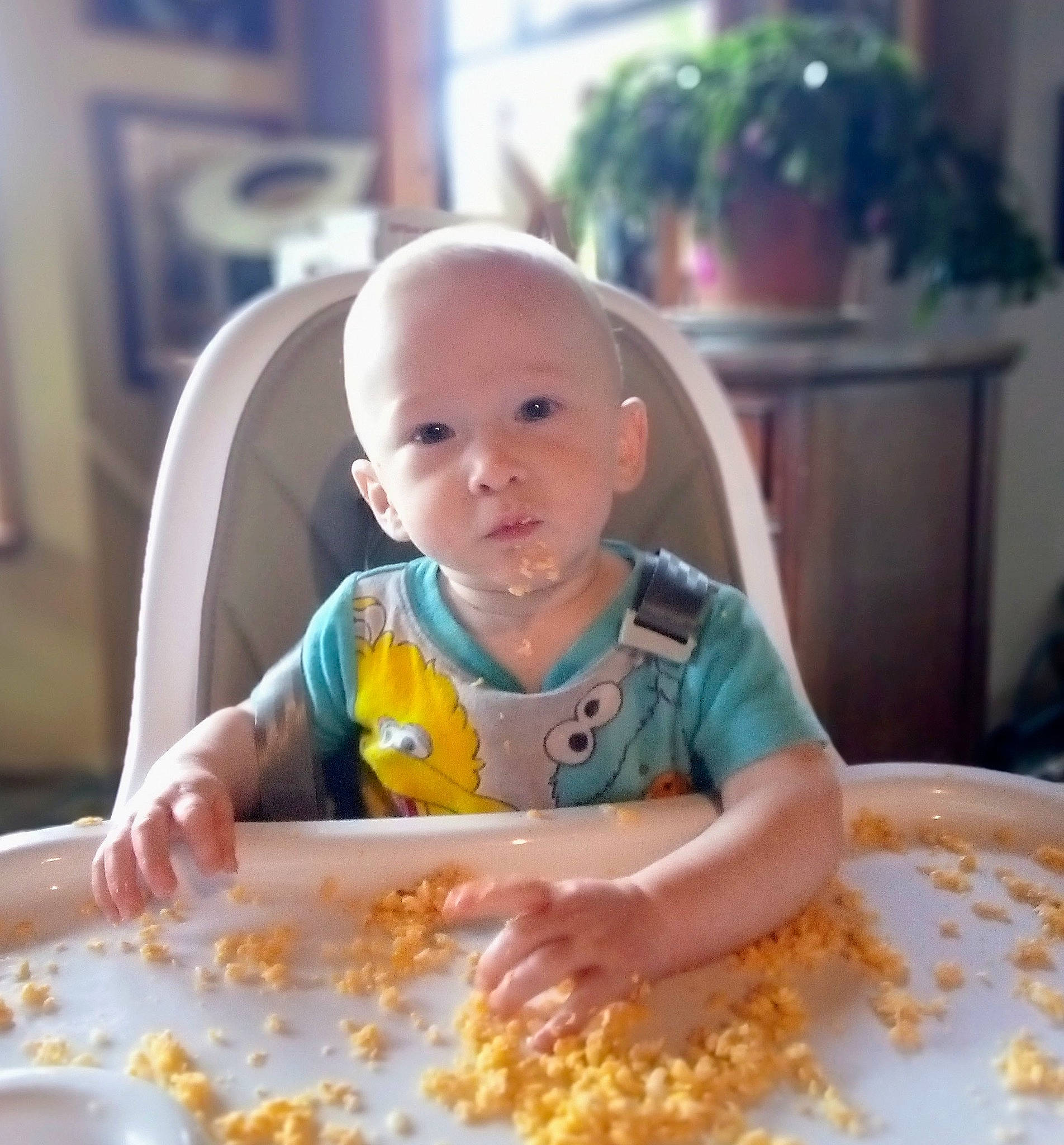 Arthur Gage Pittman is registered to the contest to win money with this photo: baby, baby_toddler_clothing, breakfast, chair, child, comfort_food, cuisine, dish, food, fun, happy, houseplant, ingredient, junk_food, person, plant, sitting, sweetness, tableware, toddler