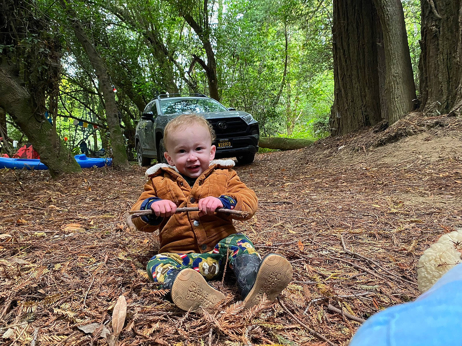 Arthur Gage Pittman is registered to the contest to win money with this photo: automotive_tire, baby, car, forest, grass, happy, joy, landscape, leisure, motor_vehicle, people_in_nature, person, plant, recreation, smile, soil, tire, toddler, tree, trunk