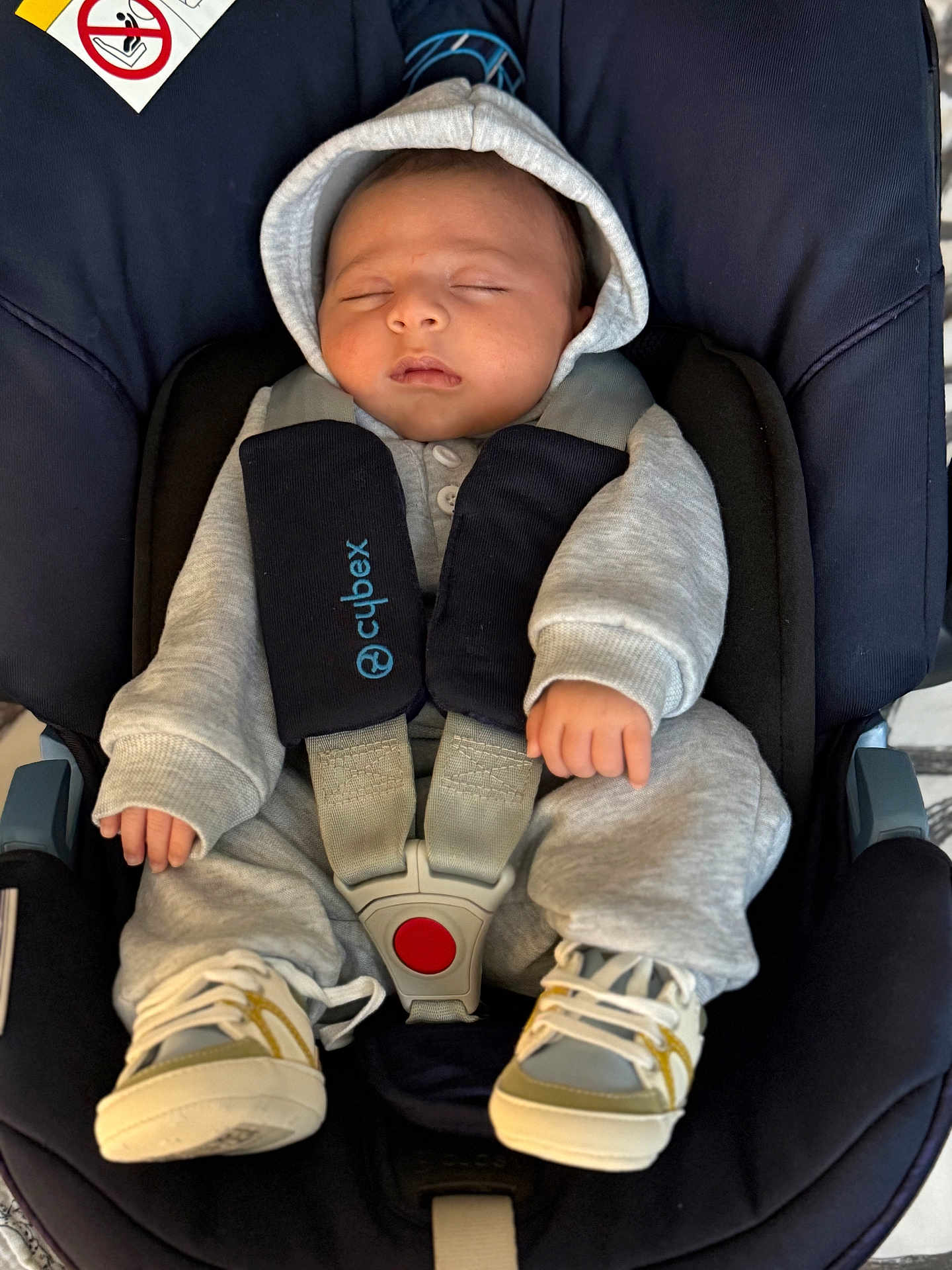 Liham participe au concours pour gagner de l'argent avec cette photo : baby, sleeping, car_seat, hoodie, gray_clothing, sneakers, infant, child, straps, safety_harness, cute, peaceful, indoor, closeup, person, footwear, seat, rest, young_child, nap