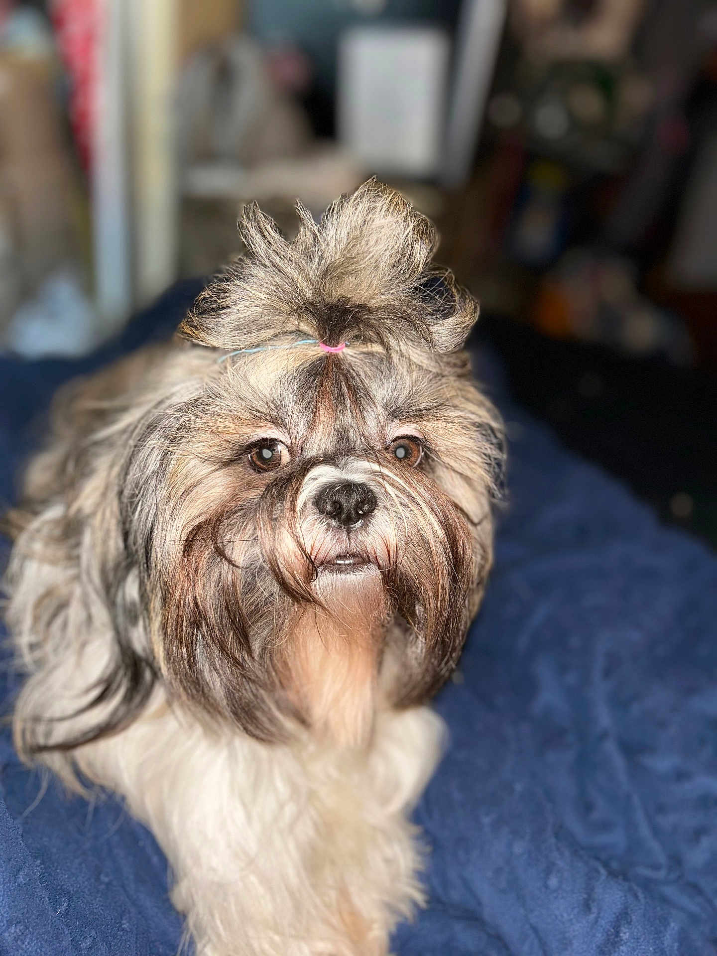 Winston