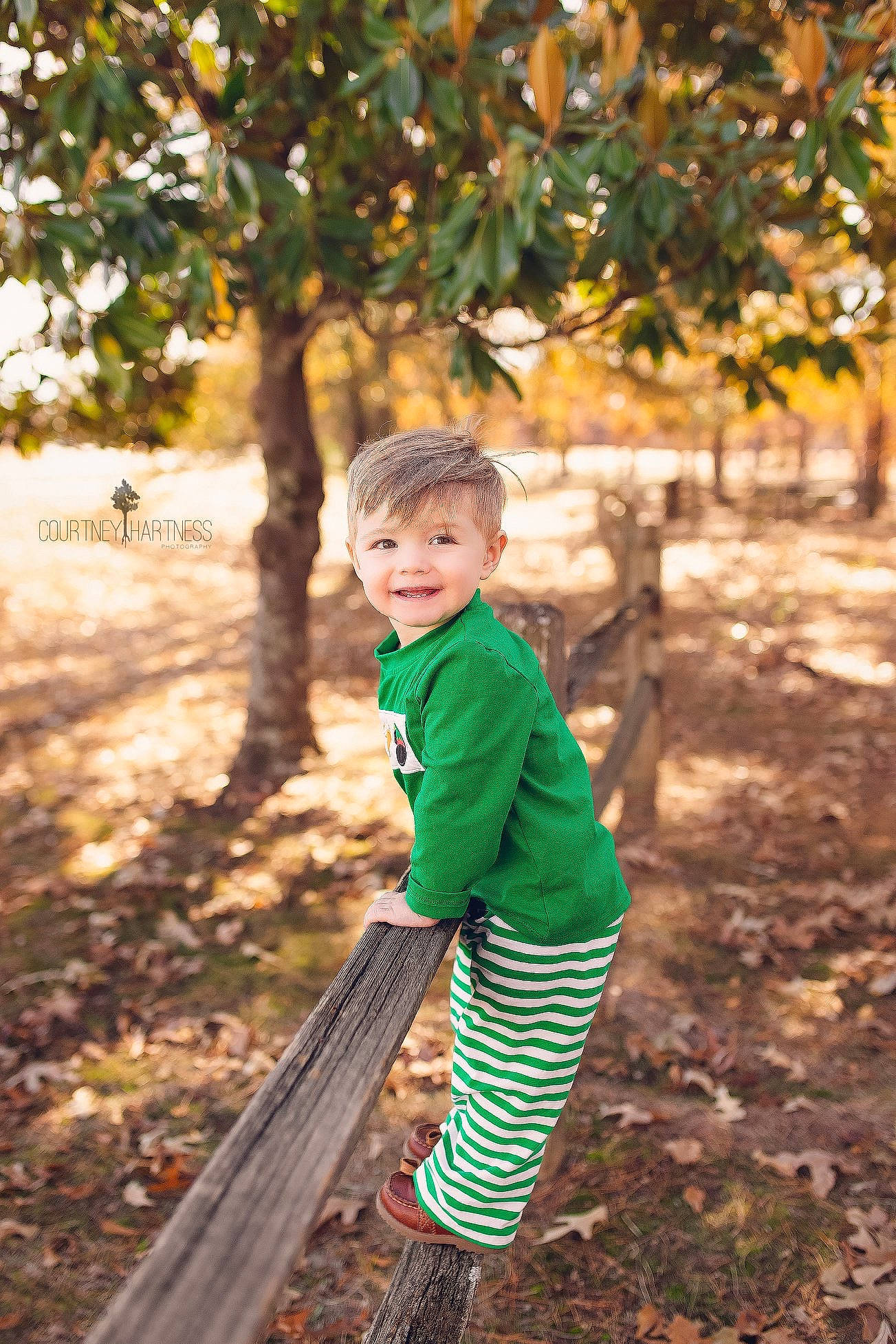 Jaxxon is registered to the contest to win money with this photo: autumn, child, green, joy, leaf, people, people_in_nature, person, photography, plant, play, portrait_photography, smile, toddler, tree