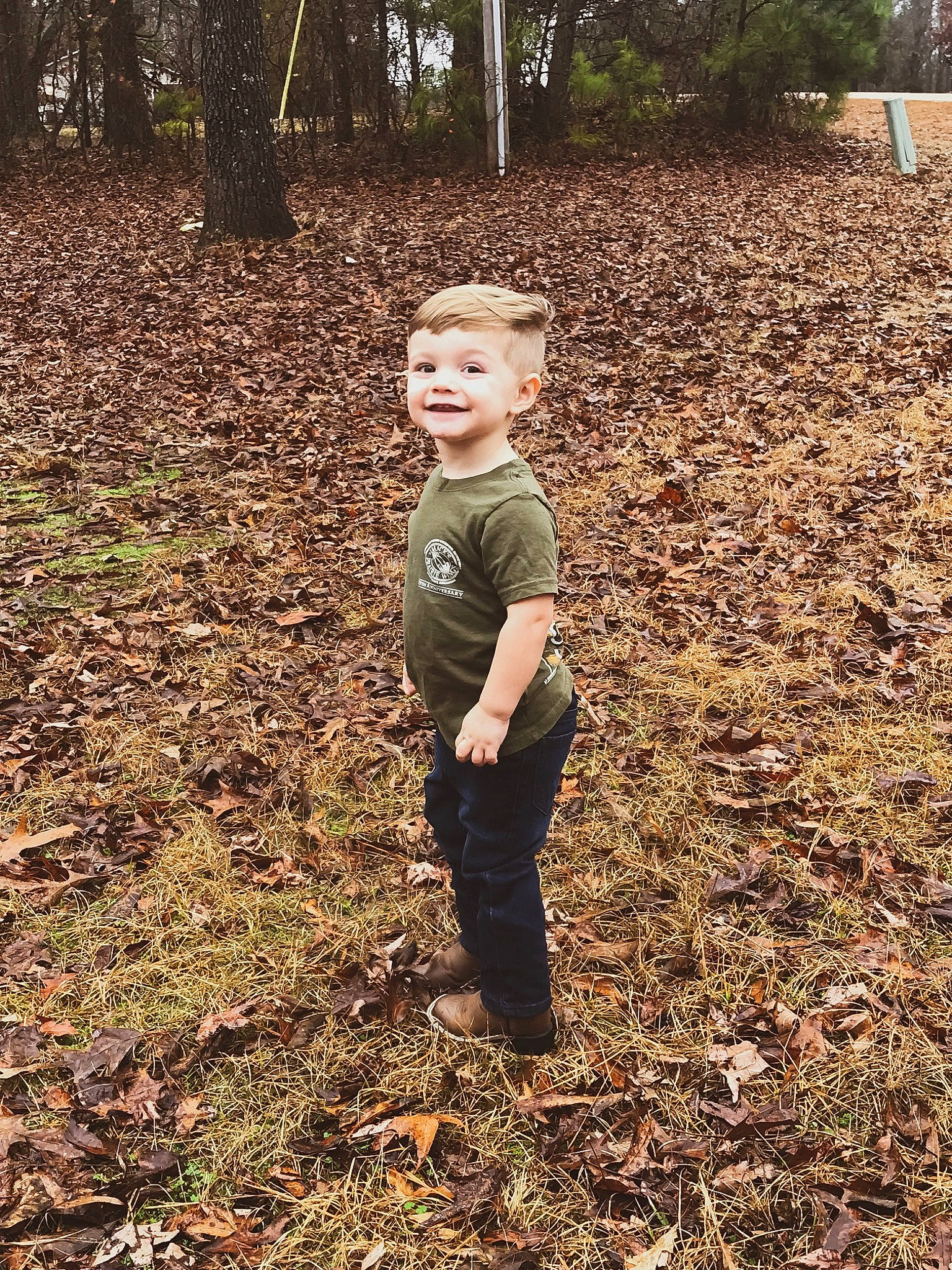 Jaxxon joined the competition — help win amazing prizes! child, forest, grass, joy, leaf, person, plant, play, soil, standing, toddler, tree, wood, woodland