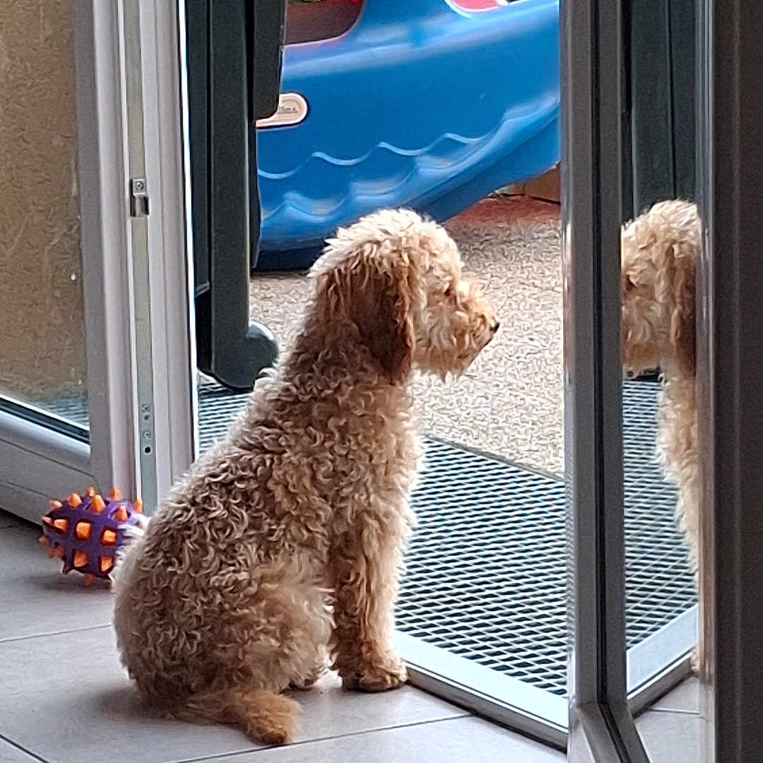 Milo